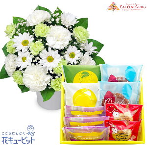 yZbgMtgzԃL[sbg   @v  ~ ފ c  ̃AWgƁyVVzĂَqA\[g 59ab21-ab21512601