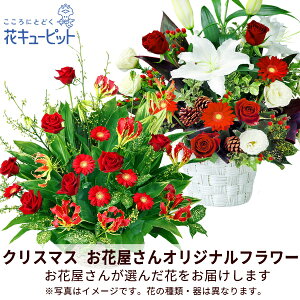 yNX}Xԉ񂨂߃MtgzԃL[sbg Xmas v[g j a LO yԉIWizNX}X̃AWgmmo00-mmwap010