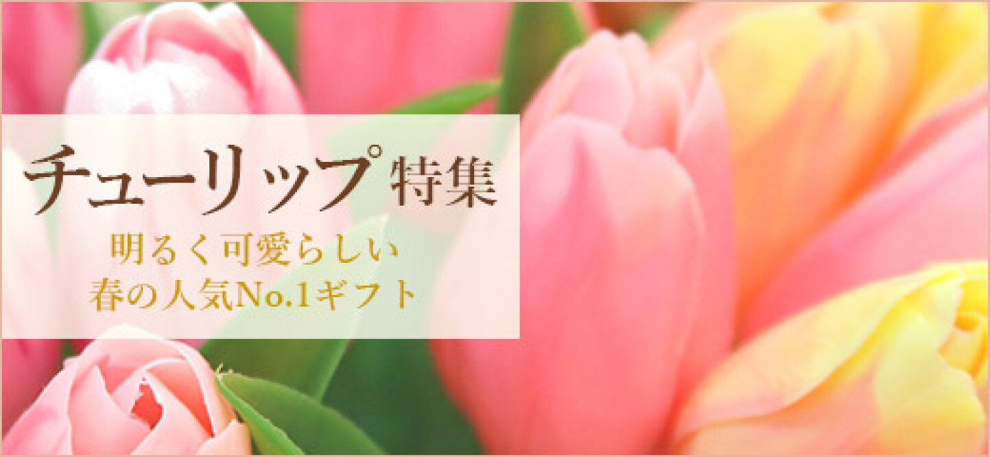 楽天市場 花キューピット お届け先近くの加盟店から 新鮮なお花をお届け インターネット花キューピット トップページ 楽天市場 花キューピット お届け先近くの加盟店から 新鮮なお花をお届け インターネット花キューピット トップページ