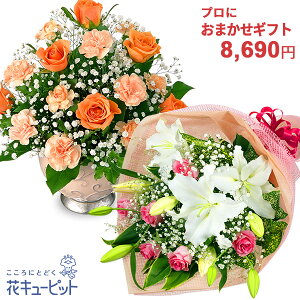 yj vɂ܂zԃL[sbg17  ̓hV̓ j JXJ Ɠw \ ސE} җ oY LO ԑEt[AWgycyr-o07999