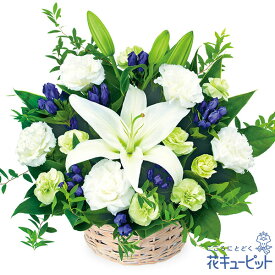お盆 新盆 初盆 供花 仏花 法事 仏事 お悔やみ お供え 供物お供えのアレンジメントmk00-ob512228