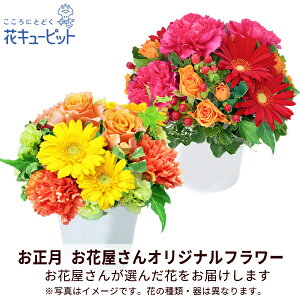 yԉ񂨂߃MtgzԃL[sbg 2026N  VN ꐳ N  A N  N }t Mtg v[g yԉIWiz̃AWgppo00-ppap003