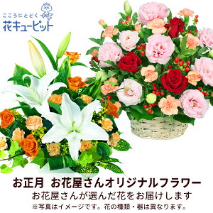 yԉ񂨂߃MtgzԃL[sbg 2026N  VN ꐳ N  A N  N }t Mtg v[g yԉIWiz̃AWgppo00-ppap008