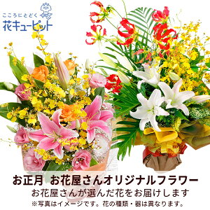 yԉ񂨂߃MtgzԃL[sbg 2026N  VN ꐳ N  A N  N }t Mtg v[g yԉIWiz̉ԑppo00-ppbp008