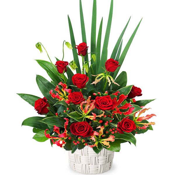 赤バラとグロリオサの豪華なアレンジメントです 花キューピット 誕生日フラワーギフト 赤バラの豪華なアレンジメントya00 花 誕生日 お祝い 記念日 プレゼント