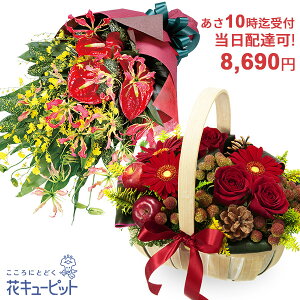 yzB jEazԃL[sbg10ō͂ hV̓ j JXJ Ɠw ސE} җ oY ԑEt[AWgycqu-q07999