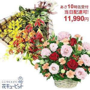 yzB jEazԃL[sbg10ō͂ hV̓ j JXJ Ɠw ސE} җ oY ԑEt[AWgycqu-q10999