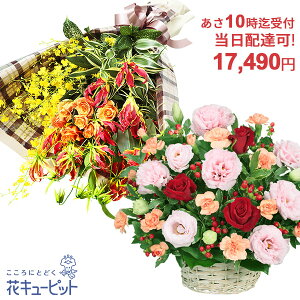 yzB jEazԃL[sbg10ō͂ hV̓ j JXJ Ɠw ސE} җ oY ԑEt[AWgycqu-q15999