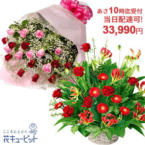 yzB jEazԃL[sbg10ō͂ hV̓ j JXJ Ɠw ސE} җ oY ԑEt[AWgycqu-q30999