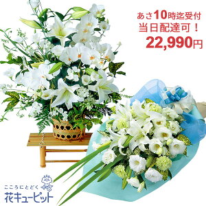 yẺ݂ zBzԃL[sbg10ō͂ ~ފ   @v@ l\   ԑEt[AWgyrqu-r20999