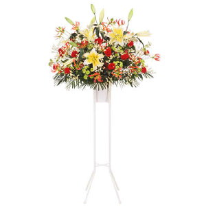 yX^hԁEԗցiJXjEJƏjjzԃL[sbg Vz z j LO vH u ܎ jX^h1igs220yr-std511196