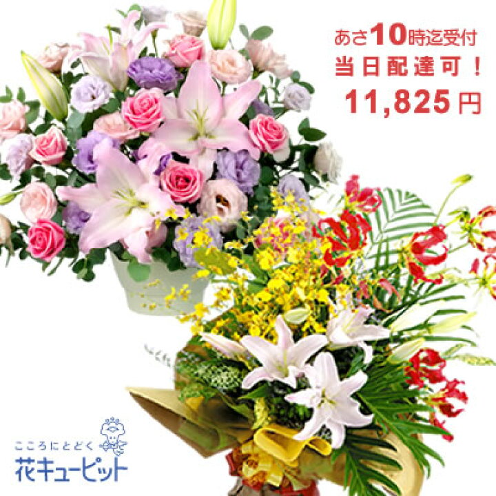 楽天市場 お誕生日 クイック 当日配達おまかせ 花 誕生日 お祝い 記念日 プレゼント 彼氏彼女 夫婦 祖父母 友達 友人 花キューピットのクイックフラワーギフトyaqu Q インターネット花キューピット