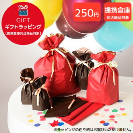 【単品購入不可 ・ ラッピング 提携倉庫発送商品対象】ギフトラッピング02（1種類のみ）