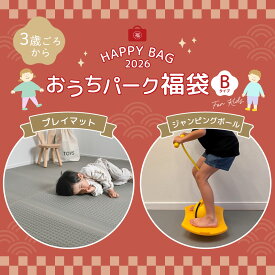 福袋 おうちパークB 室内遊び セット ジャンピングボール ＆ クッションマット 子ども 室内 運動 キッズ 幼稚園 保育園 プレイマット ベビーマット 小学生 ホッピング ホッピングボール ジャンピング ボール
