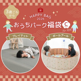 福袋 おうちパークC 室内遊び セット ボールプール ＆ クッションマット 子ども 室内 運動 キッズ プレイマット 幼稚園 保育園 小学生 ベビーマット