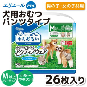 y剤zL~ ANeBuEFA M|L26Ic  }[LO  }i[ s U Oo s }i[EFA }i[xg ނ pc^Cv  ^ ^  p 