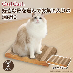 yGg[P10{zyGCNGCcz ܂Ƃ KKvCX WOUO߂Ƃ ܌ ˂ L lR ˂̂ ܃gM cat ܂Ƃ ߂Ƃ Lpi ObY