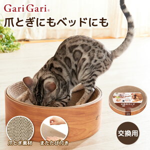 yGCNGCcz ܂Ƃ KKfBbV XNb`[ tB߂Ƃ ܌ ˂ L lR ˂̂ ܃gM cat ܂Ƃ ߂Ƃ Lpi ObY