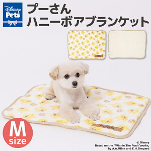 y11/1 P10{zyDisneyzfBYj[ v[ nj[ {AuPbg MTCYybgxbh ybgxbg uPbg ybgp NbV p Lp H~   Q ԗp 