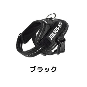 yJulius-K9zEXK9 IDCp[n[lX Baby1/ Baby2 TCY ^p ybgpi p  Ck  U o ybg ybgp  