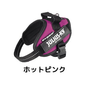 yJulius-K9zEXK9 IDCp[n[lX MiniMini / Mini TCY ^E^p ybgpi p  Ck  U o ybg ybgp  