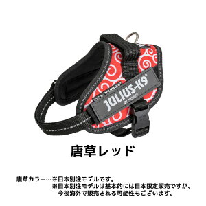 yX[p[SALE 10OFFzyJulius-K9zEXK9 IDCp[n[lX fUCV[Y j[J[ MiniMini / Mini TCY ^E^p ybgpi p  Ck  U o