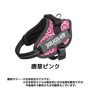 yX[p[SALE 10OFFzyJulius-K9zEXK9 IDCp[n[lX fUCV[Y j[J[ MiniMini / Mini TCY ^E^p ybgpi p  Ck  U o