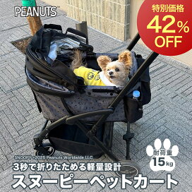楽天市場】【7/15限定 P10倍】【42％OFF！ 在庫限り!!】【PEANUTS 