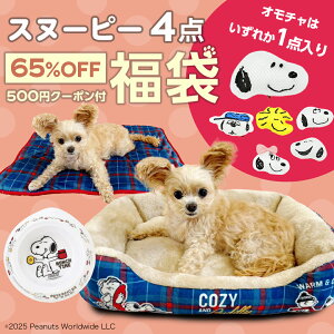 【65％OFF 限定500セット】ワンちゃん用 3,000円 福袋 │ スヌーピーソファベッドとブランケット、おもちゃ、