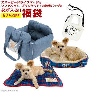 y57OFFI200Zbgzp 8,500~   Xk[s[hCuxbhƃ\t@xbhAuPbgAUobOK ȃN[|t    Ck p ybg 