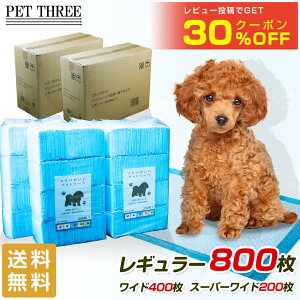 y11/1 P10{zyr[e30OFFN[|zzzRXp ybgV[c ^ M[ 800 Ch 400 X[p[Ch 200 e ƖpP[X 1ĝ Lp  L