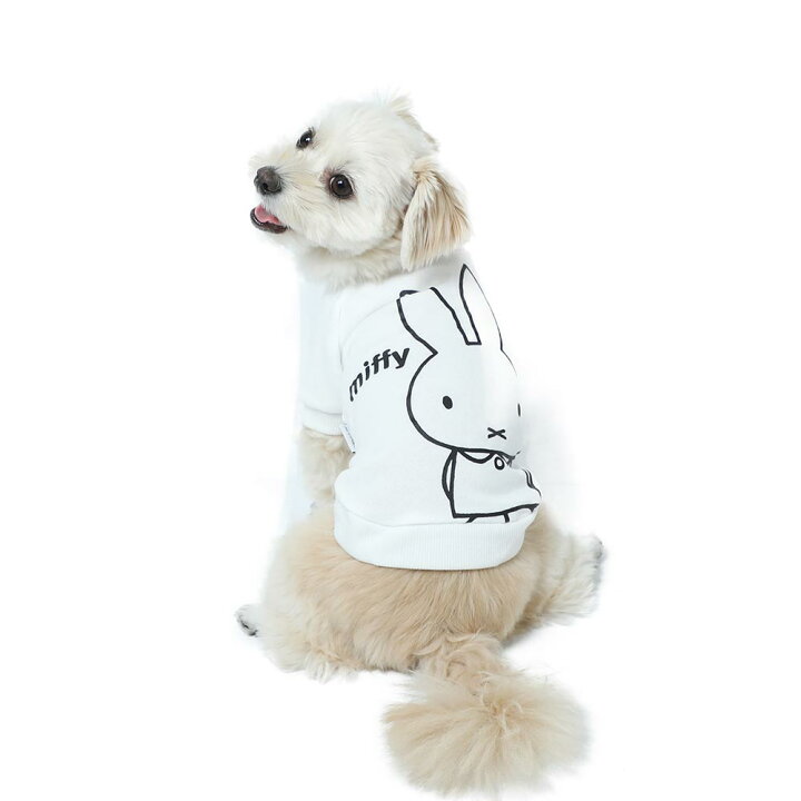 今だけp10倍 対象ペット服3点以上で30 Offクーポン Miffy
