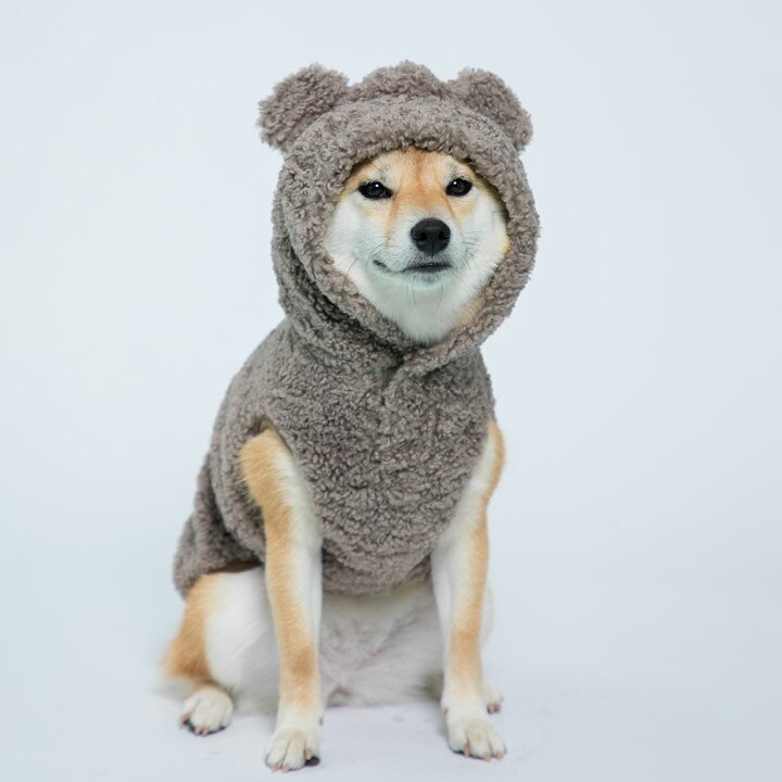 楽天市場 アウトレットセール開催中 Moff Bearなりきりパーカー かわいいもこもこ コスプレ犬服 ペットウェア ペット用品 おしゃれ フリース ボア ペット ドッグ 犬 秋 冬 秋服 冬服 秋冬服 犬用 全犬種 イヌ いぬ モコモコ モフモフ Pet Three