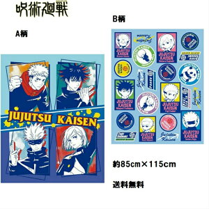 yoׁz p WWcJCZqp^IPbg QPbg ^IPbg@Iׂ2 100 85X115cm炩 ӂӂ 薰 rbO^I ۈ牀 ct 