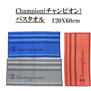 Champion(`sI) oX^I Champion `sI SJ[Y bh 100@u[@`R[ R hL