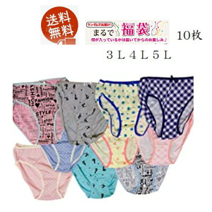 pV[c 10fB[X傫ȃTCY3L4L5LV[c ʃAEgSŃfP[gȕ@q̕ fbJCV[c@pc