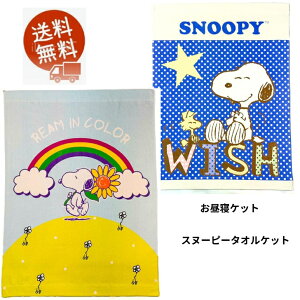 Xk[s[ ^IPbg QPbg LbY 85 × 115Z` ƂЂ܂WISH u[@ӂӂ킩킢100c  ctLN^[Ċ|zc G|  y [