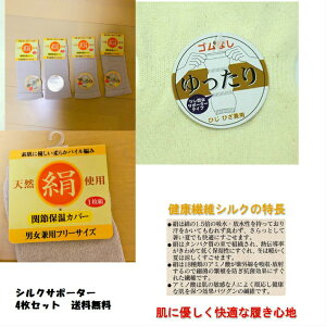 yoׁzyTCYzjpt[TCY@26cm 4IAGAAɎgĕ֗@VRVNgpT|[^[