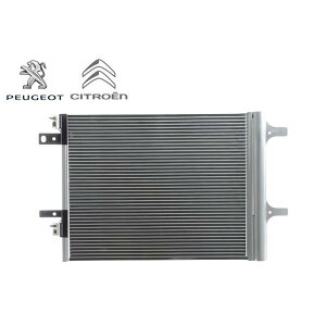 KOEM CITROEN VgG C4 sJ\ C4 Xy[XcA[ GARRfT[ ACRfT[ 9673629480 9817334080 9677145480
