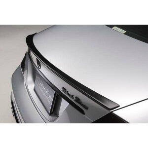 yWALD BlackBison Edtionz Mercedes-Benz W219 CLSNX ~07y J[{ gNX|C[ ubNoC\ CLS350 CLS500 CLS550