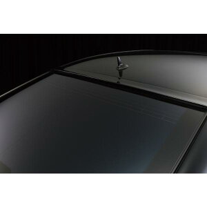 yWALD BlackBison Edtionz Mercedes-Benz W221 SNX 09y~  [tX|C[ S350 S550 S600 ubNoC\ xc