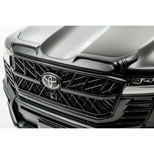 SportsLine-BlackBisonEdition WALD g^ oOK[h hN[U[ FJA300 VJA300W R3.8~ N 300