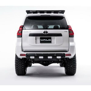 WALD DESERT LINE H29.9- AK[jbV 150n hN[U[ vh GDJ150W TRJ150W  @h GA