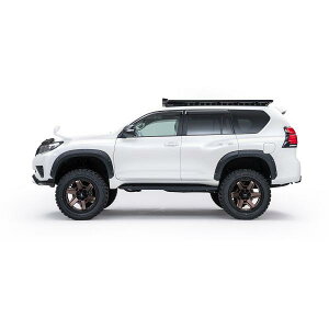 WALD DESERT LINE H29.9- I[o[tF_[ 6P 150n hN[U[ vh GDJ150W TRJ150W  @h GA