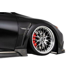 yAIMGAINz VIP EXE LEXUS NTX 50n LS  LS500 LS500h F-SPORT tg_NgtF_[ FRP 2020.11- GCQC tF_[ GA