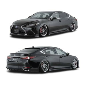 AIMGAIN VIP EXE LEXUS NTX ES ES300h tLbg 5_ 2018.10-2021.8 GCQC GAZbg GALbg GA p[c