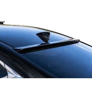 AIMGAIN VIP EXE LEXUS NTX ES ES300h [tX|C[ 2018.10-2021.8 GCQC GA p[c