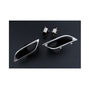 AIMGAIN VIP SPORT LEXUS NTX 30n IS  IS300h F-SPORT versionL type1p }t[tBjbV[ GCQC GA