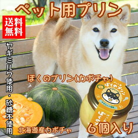【犬用 おやつ 誕生日 ご褒美】常温 犬用プリン 6個セット カボチャ 砂糖不使用 ヤギミルク 無添加 国産 送料無料 賞味期限1年 犬 おやつ プレゼント ギフト ペット スイーツ