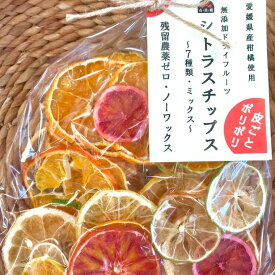 げんき本舗 シトラスチップス ミックス 50g ドライフルーツ 砂糖不使用 無添加 国産 美味しい おしゃれ